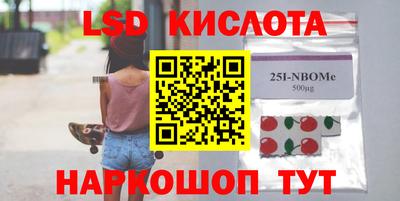 СК Новодвинск