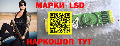 СК Новодвинск