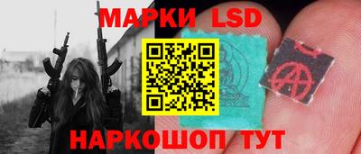 прущие грибы Новозыбков