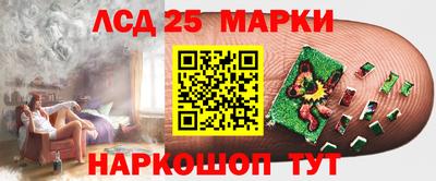 СК Новодвинск