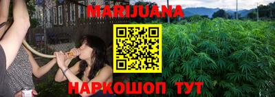 прущие грибы Новозыбков