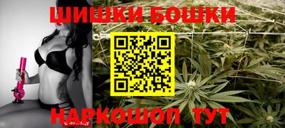 СК Новодвинск