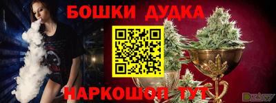 прущие грибы Новозыбков