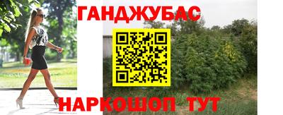 СК Новодвинск