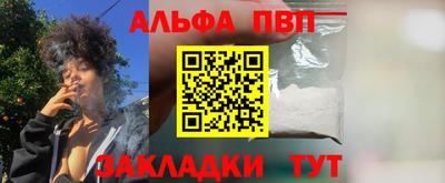 СК Новодвинск