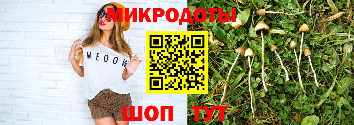 Псилоцибиновые грибы Psilocybine cubensis Геленджик