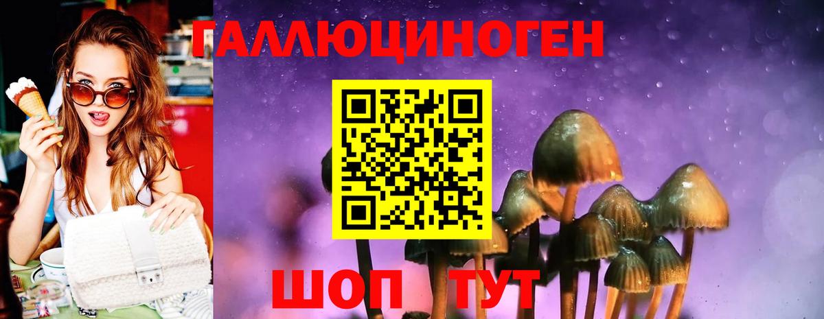 Галлюциногенные грибы мицелий  Вход с VPN  Геленджик 